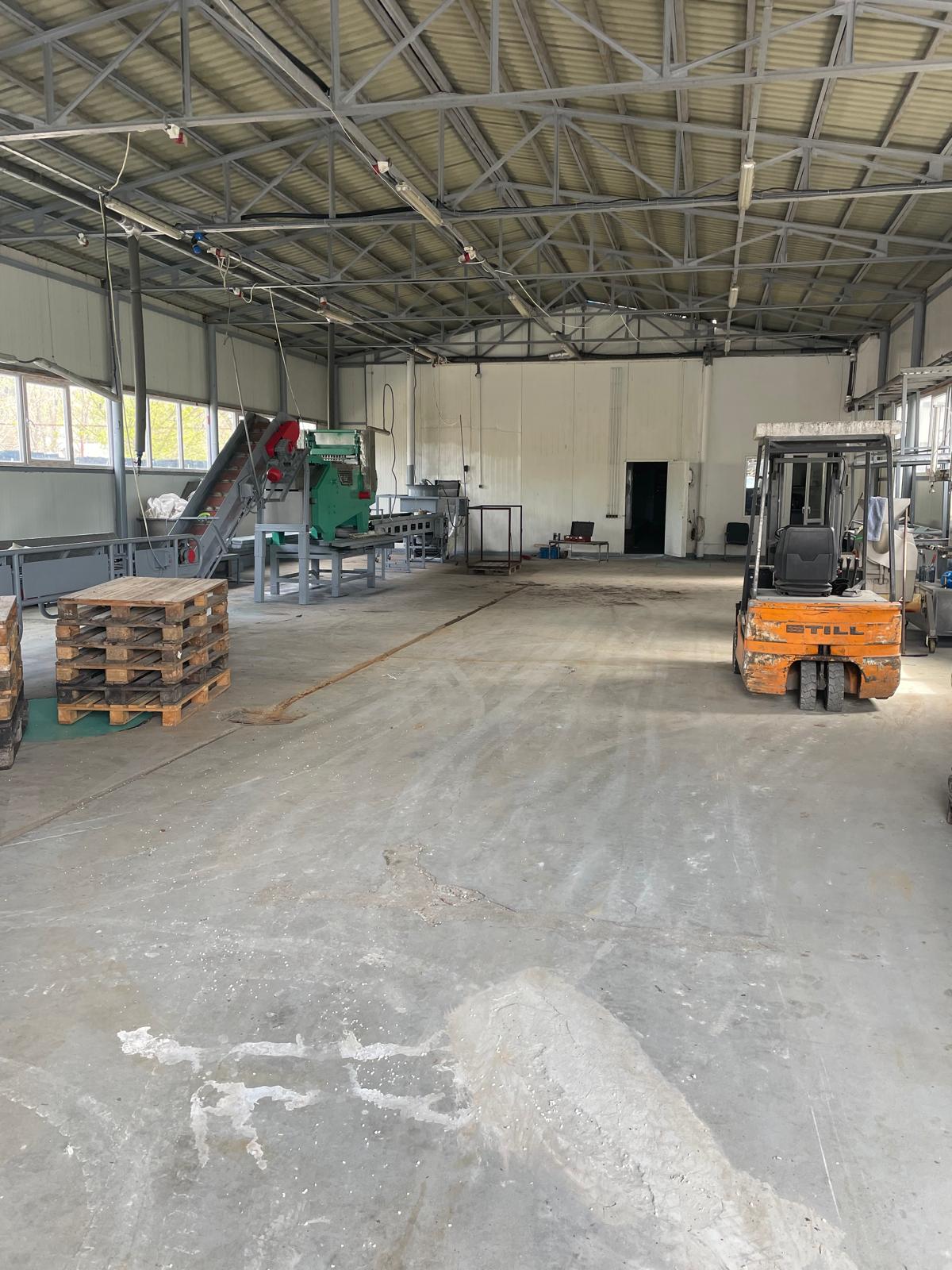 Legume proaspete, congelate rapid