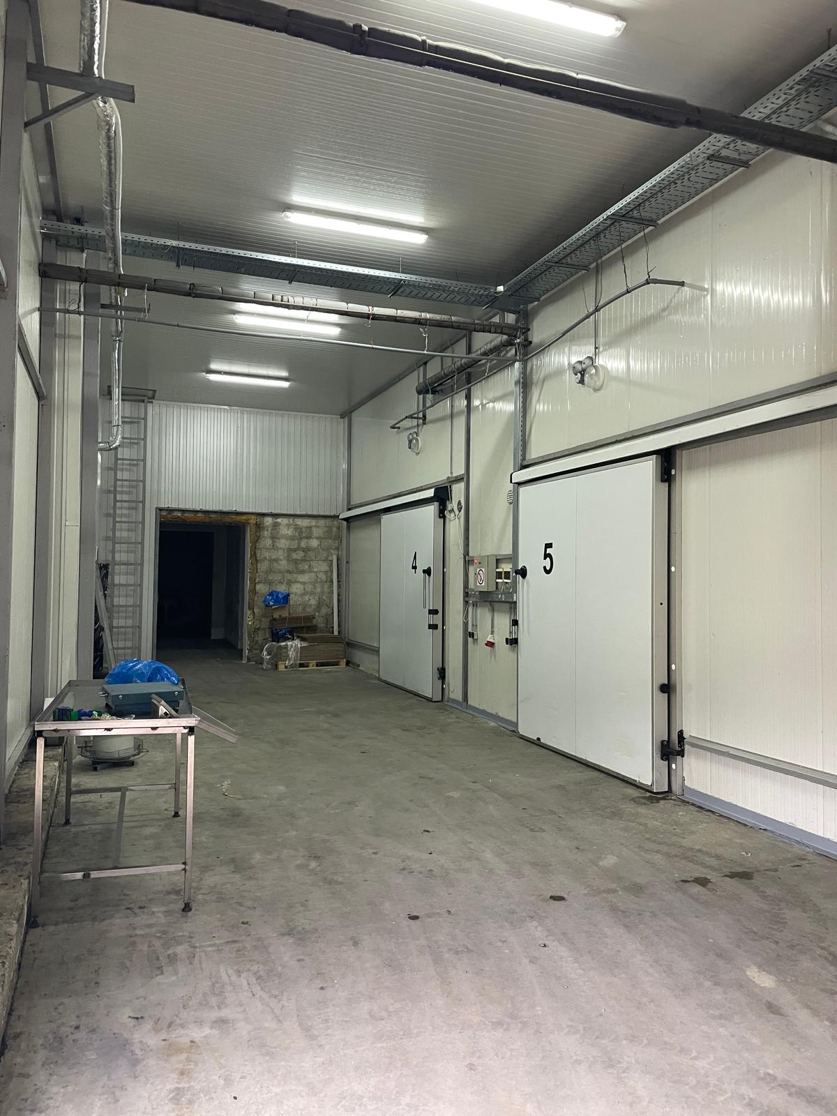 NeoFrost sorting line